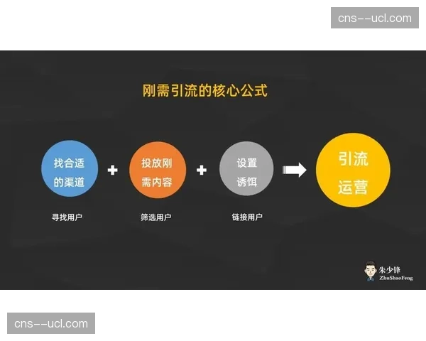 核心粉丝圈层运营策略深化 打造高粘性社群